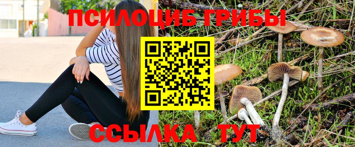Маркс  Псилоцибиновые грибы Psilocybe  Вход с VPN 