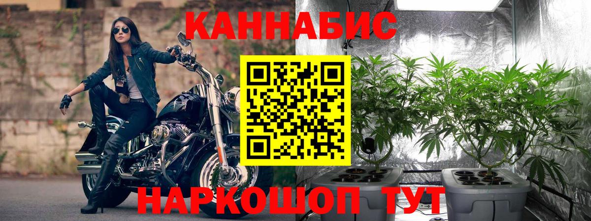 Маркс  Шишки марихуана White Widow  Вход с VPN  Марихуана Bruce Banner  Шишки марихуана VHQ 